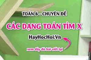 [Đầy đủ] Các dạng bài tập toán tìm x lớp 6 có đáp án và lời giải Toán 6